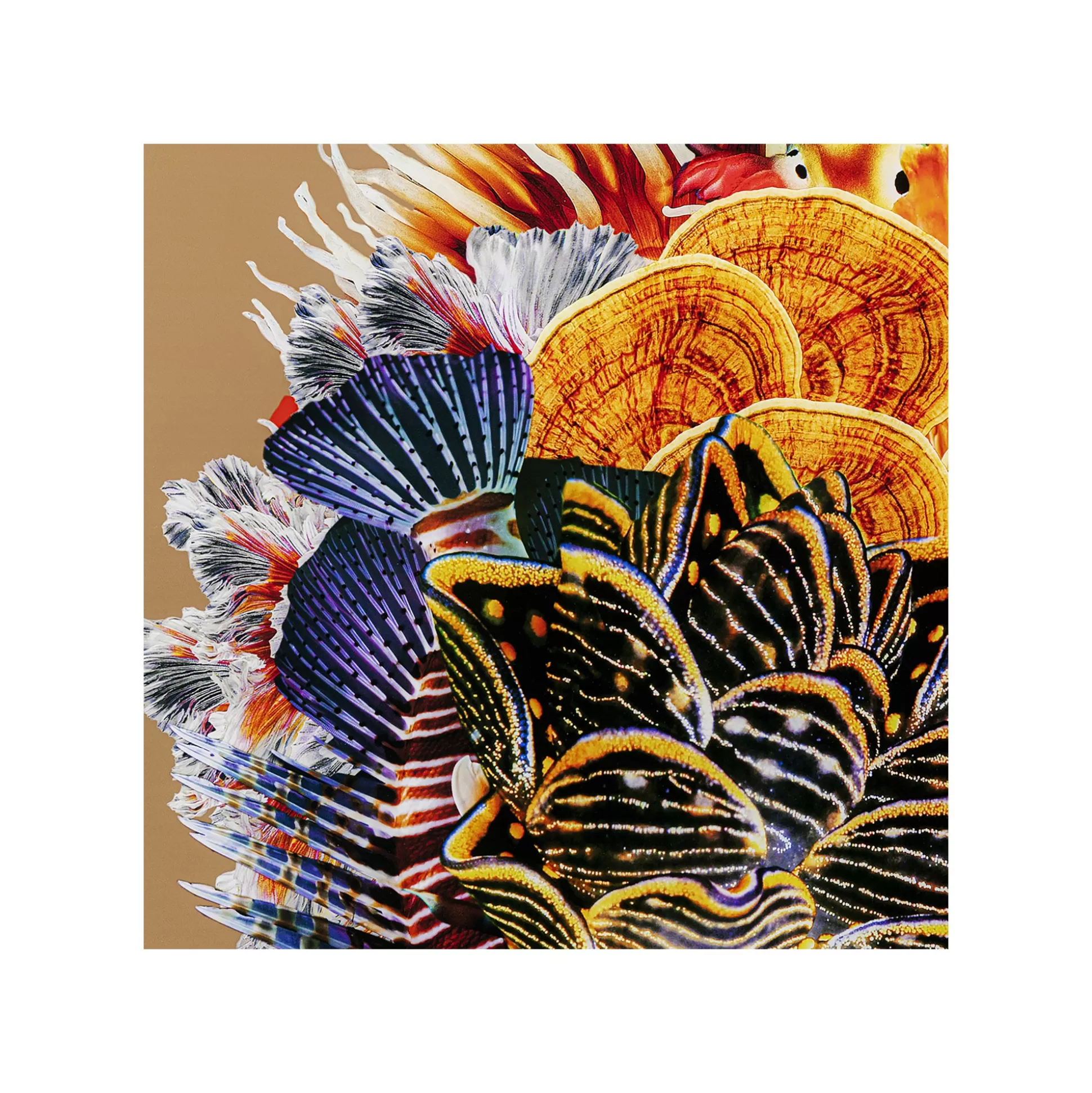 Affiche Encadrée Femme Coraux Poissons 120x120cm ^KARE Design Fashion