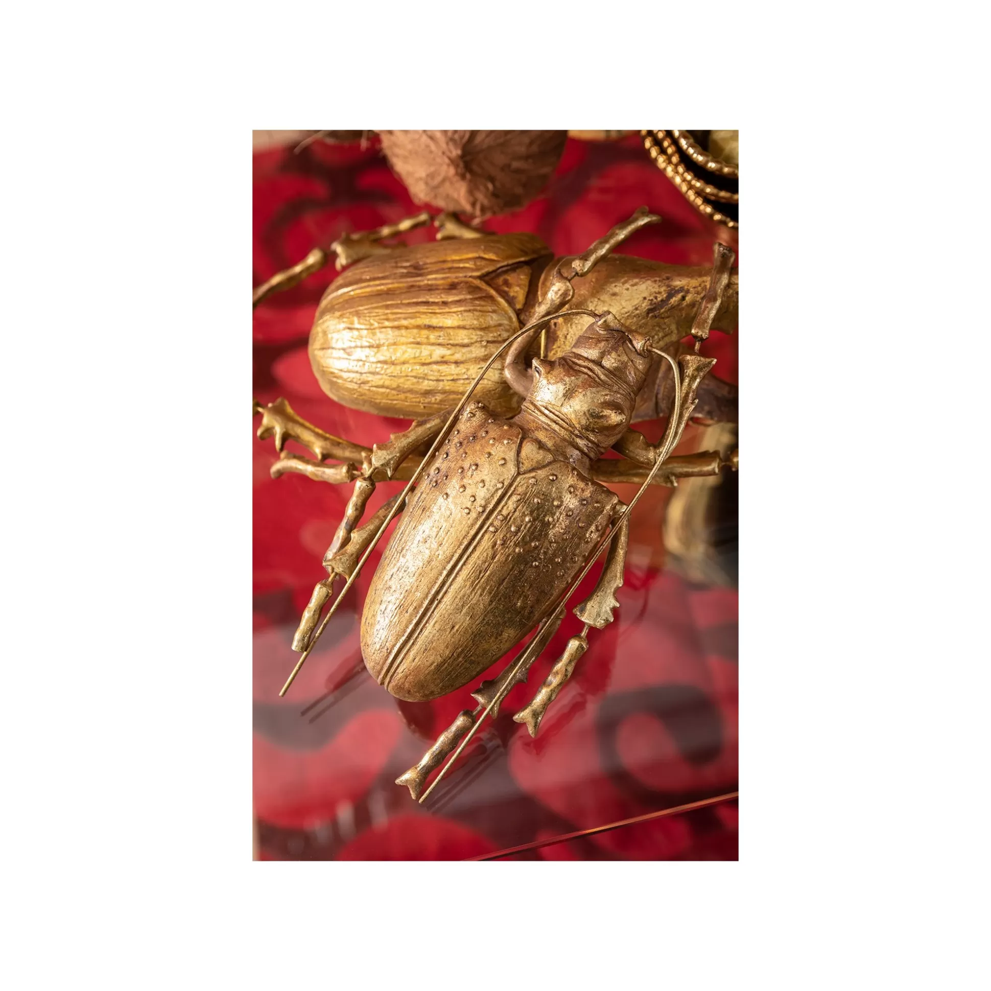 Déco Murale Longicorn Beetle Dorée ^KARE Design Best