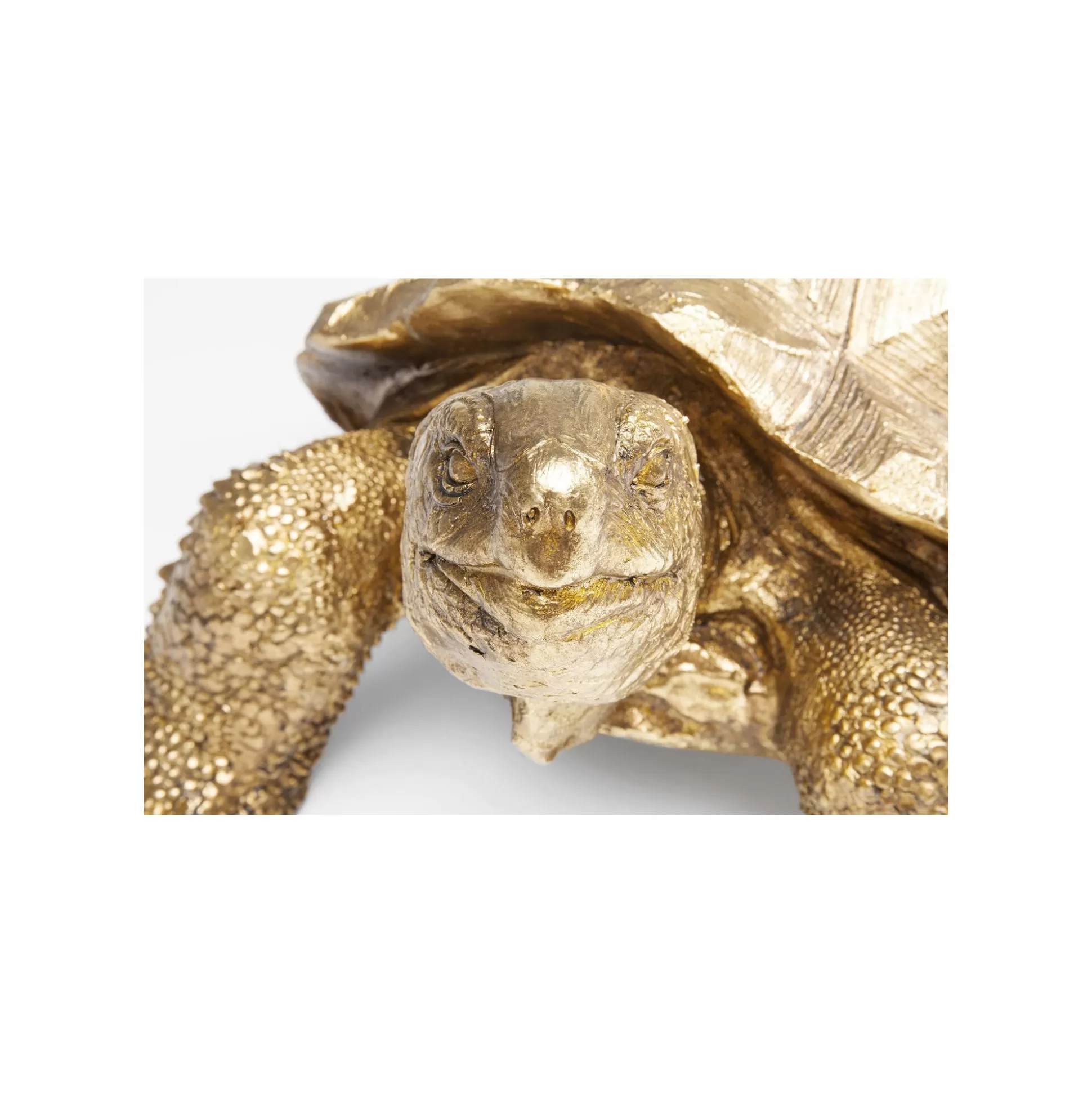 dco_tortue_dore_cm_kare_design_5.webp Déco Tortue Dorée 60cm ^KARE Design Best