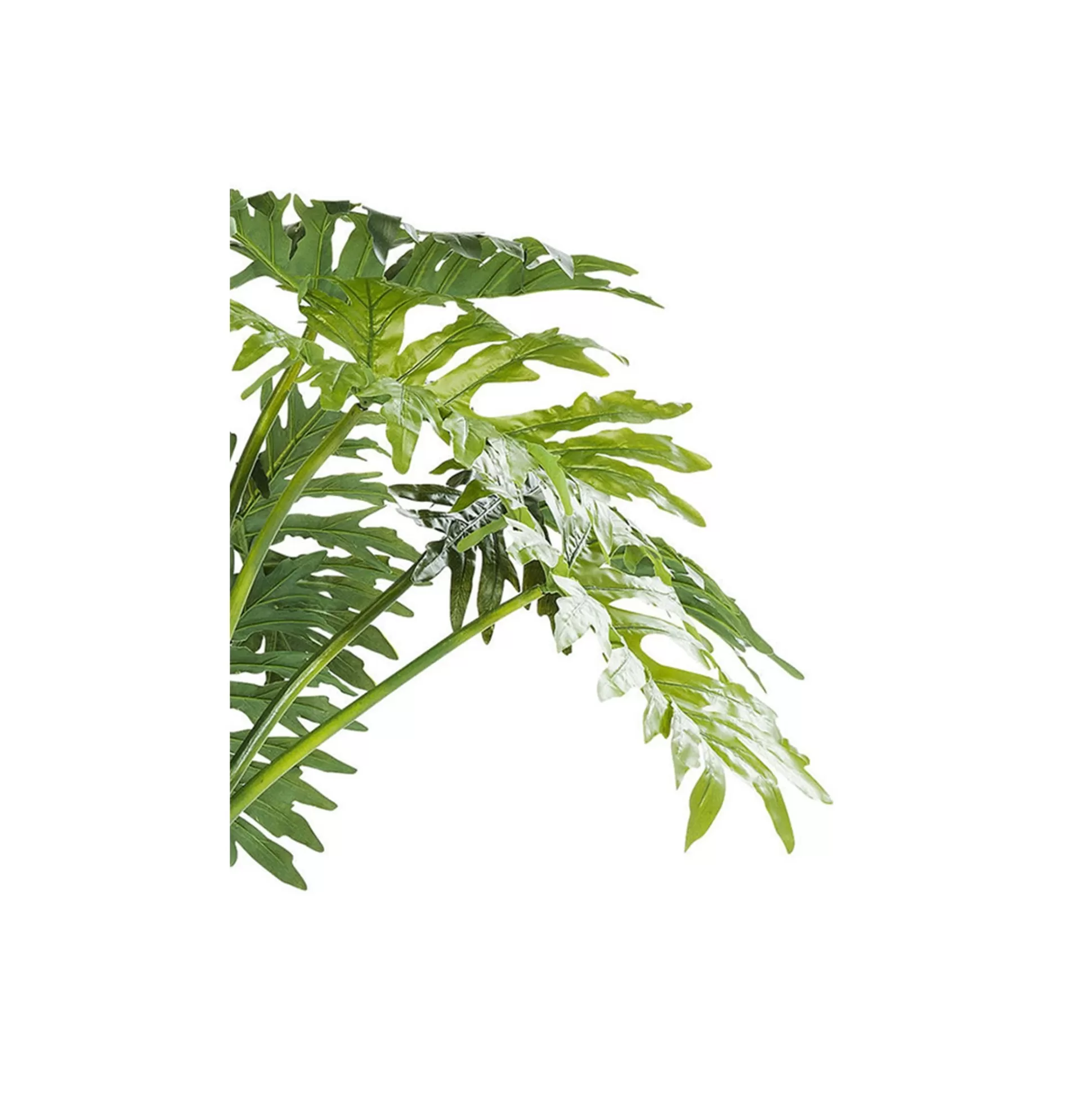 Plante Décorative Big Monstera 175cm ^KARE Design Flash Sale