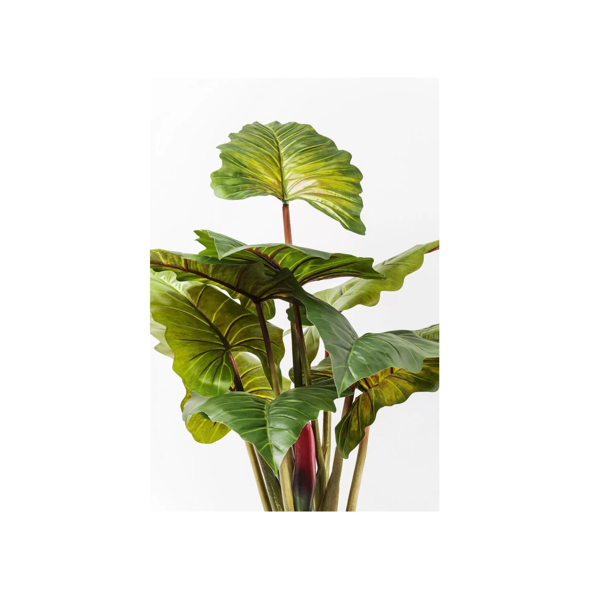 Plante Décorative Rainbow Tree 160cm ^KARE Design Store