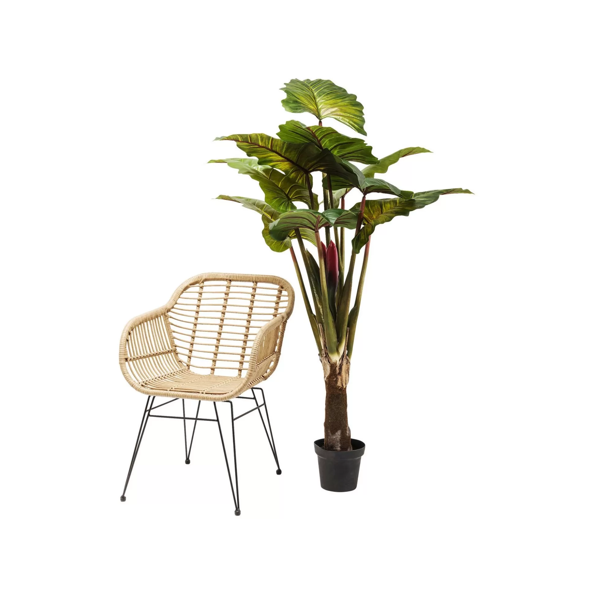 Plante Décorative Rainbow Tree 160cm ^KARE Design Store