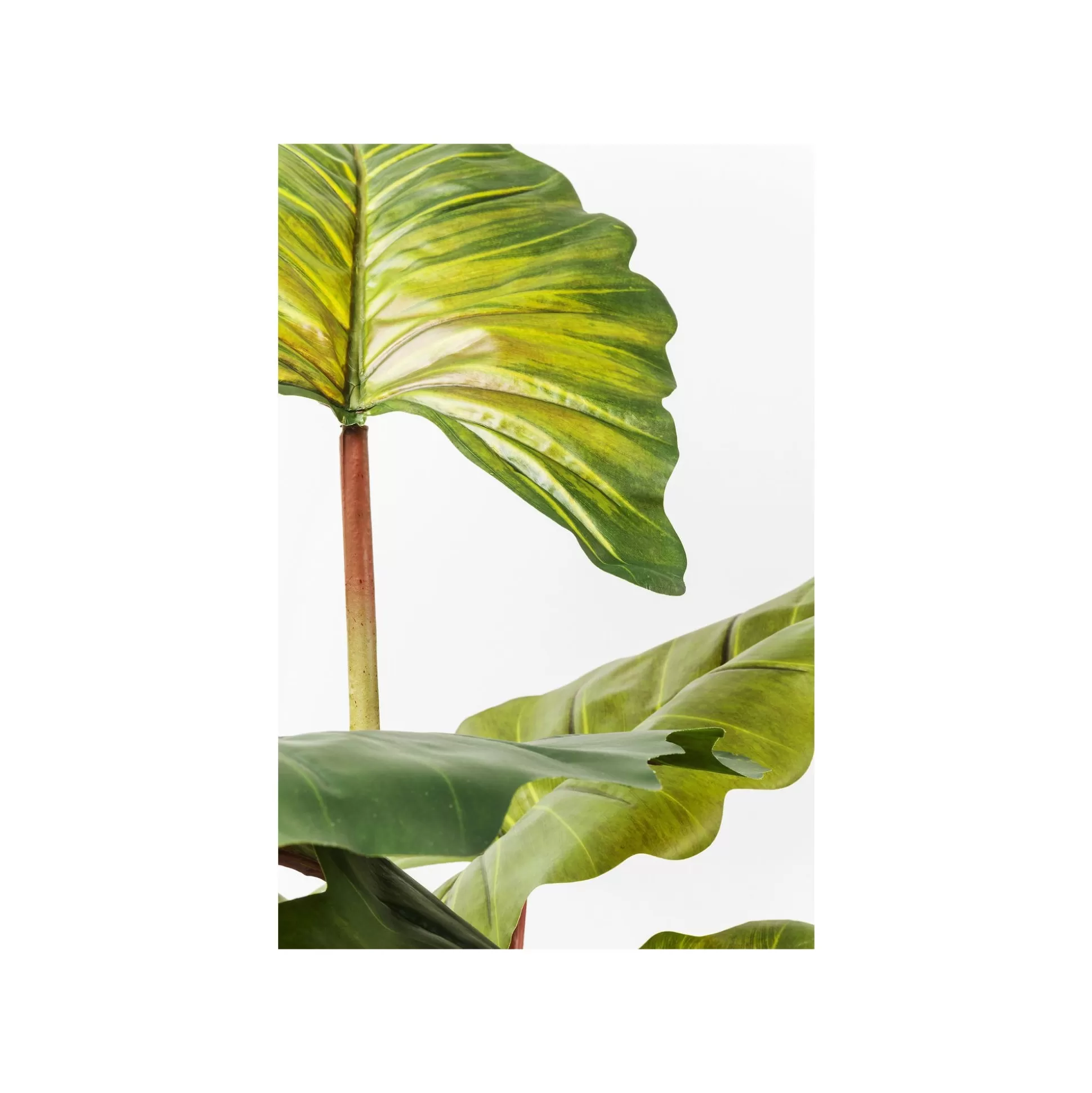 Plante Décorative Rainbow Tree 160cm ^KARE Design Store