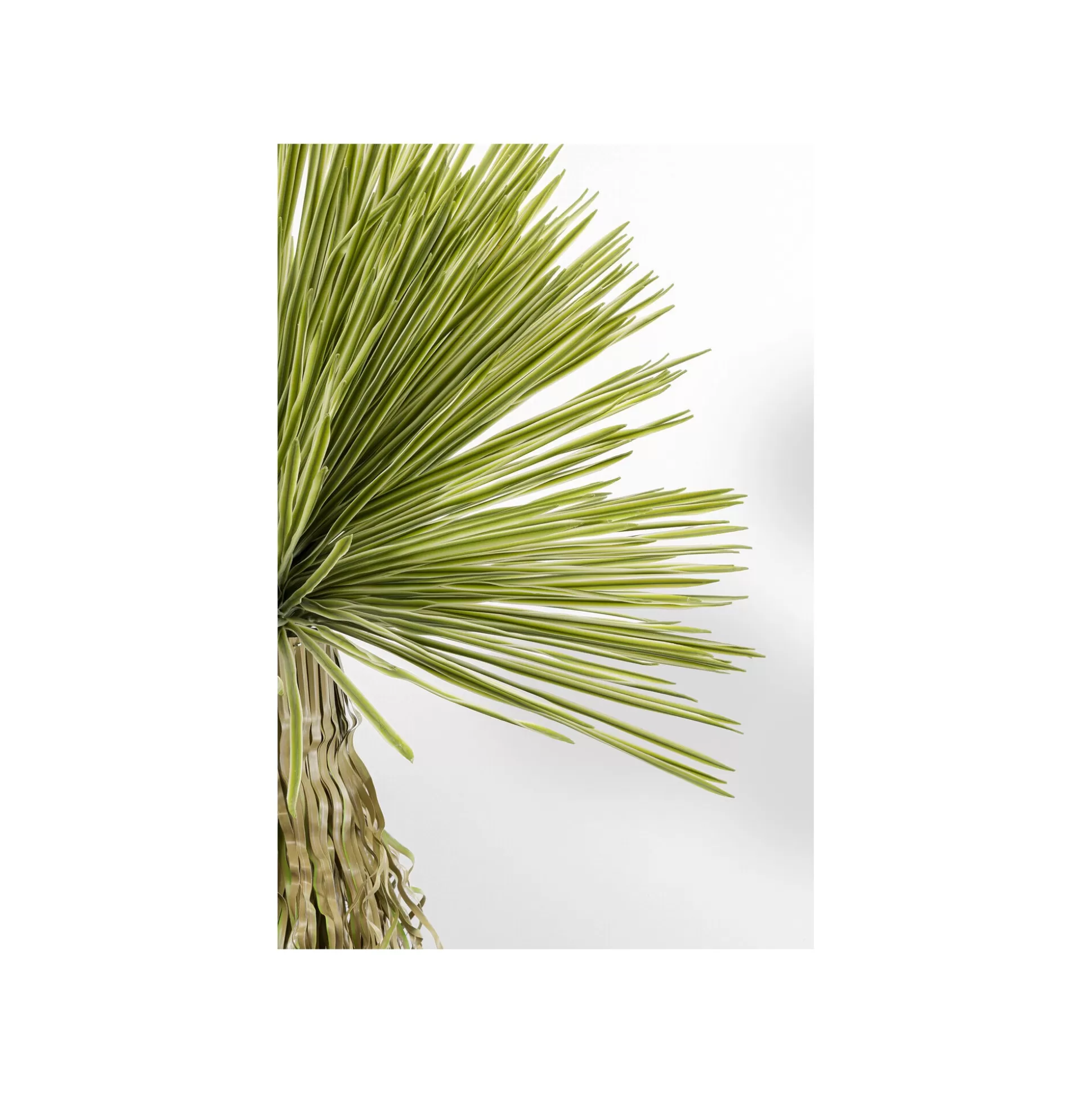 Plante Décorative Yucca 180cm ^KARE Design Fashion